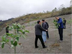 大方縣達(dá)溪鎮(zhèn)環(huán)境綜合治理項(xiàng)目